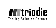 Triodie